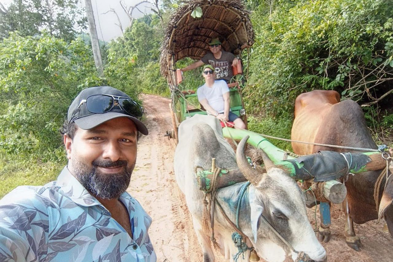 Colombo: Sigiriya Rock and Dambulla Cave Temple Day Trip