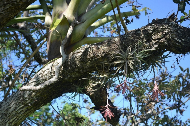 Santa Cruz: Wildlife Sanctuary and Preservation Park Tour