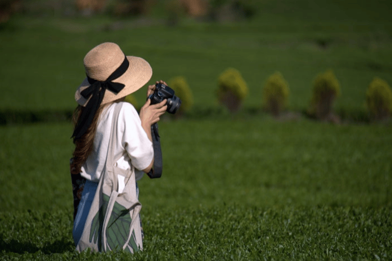 Jeju: UNESCO Heritage Sites Authentic Day Tour(Western)