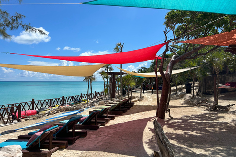 007-Mañana Todo Incluido Nadar con Cerdos en la Isla Rosa007 Todo Incluido-Nadar con cerdos en la Isla Rosa