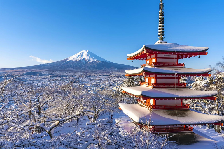 Mount Fuji Day Tour: Instagrammable Spots + Scenic Train From Tokyo (Including ropeway and cruise)