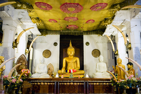 Colombo: 4-Day Cultural Triangle Tour with Wilpattu Safari