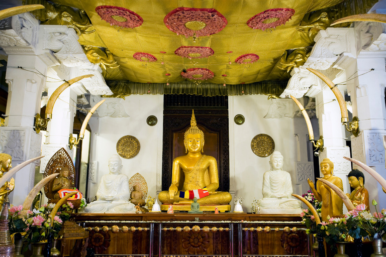 Colombo: 4-Day Cultural Triangle Tour with Wilpattu Safari