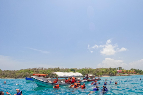 Evadez-vous de Carthagène à l&#039;île de Baru et admirez les mangroves !Tour des mangroves et du plancton