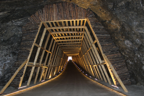 Krakow: Wieliczka Salt Mine Guided Tour & Transfer Option Hotel Pickup Guided