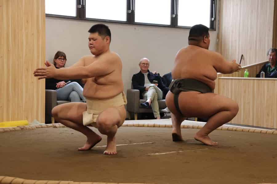 Tokio: Shinjuku Sumo Show & Erlebnis mit Getränken und Foto. Foto: GetYourGuide Tokio: Shinjuku Sumo Show & Erlebnis mit Getränken und Foto. Foto: GetYourGuide