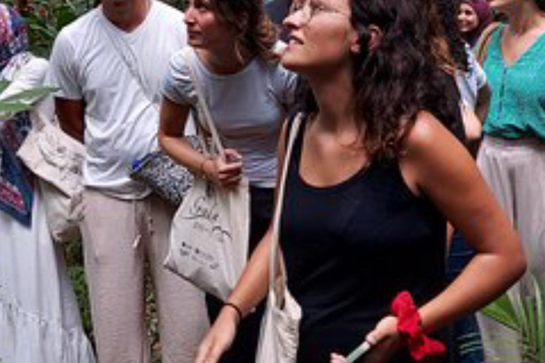 ZANZIBAR: Stone Town and Jozani Forest tour Tour without Hotel pickup and drop off