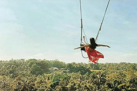 Bali: All-Inclusive Ubud Highlights Tour