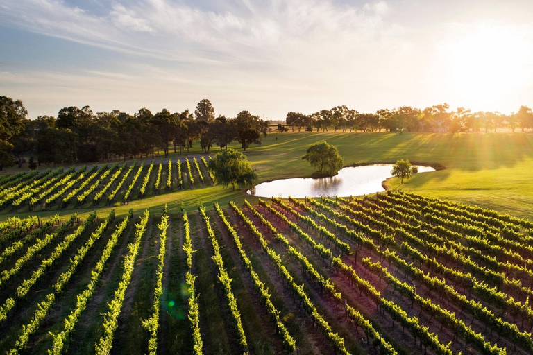 Margaret River, Chocolate, Wine & Coast Day Trip from Perth Day Trip with Complimentary Hotel Pickup