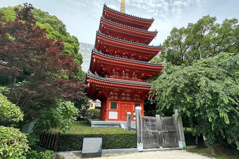 Fukuoka: Customized Private Tour