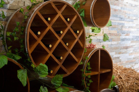 Fergana: Winegarden Winery Tour and Tasting