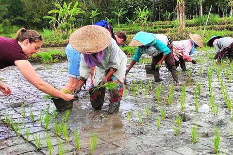 Yogyakarta : Excursion cycliste dans un village en bicyclette classique