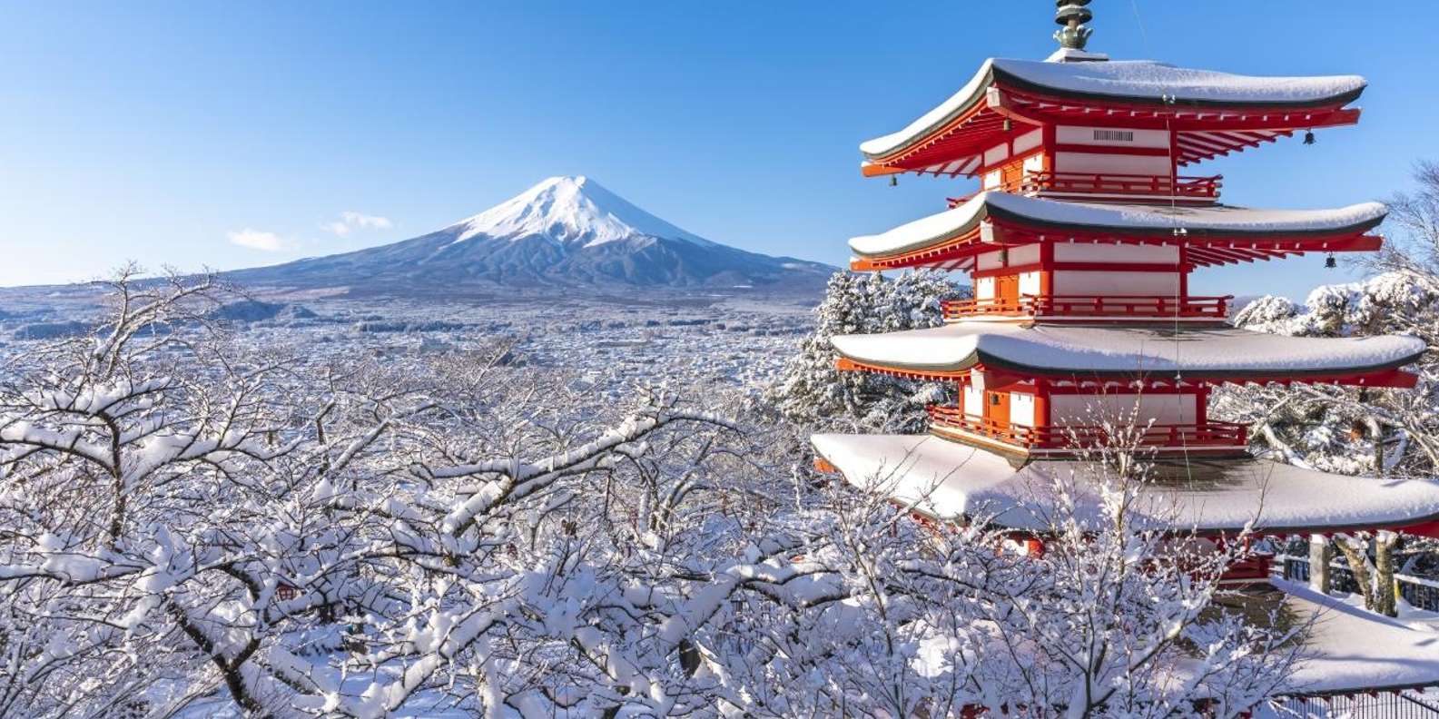 Tokyo: Mt. Fuji, Arakurayama Sengen Park, Oshino Hakkai Tour