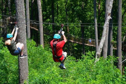 Nairobi: Kereita Forest Ziplining and Nature Walk Tour