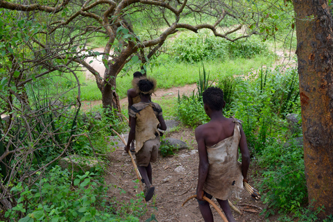 Tarangire-Nationalpark &amp; Eyasi-See (Datoga- &amp; Hadzabe-Dörfer)Premium Lodge im Tarangire-Nationalpark