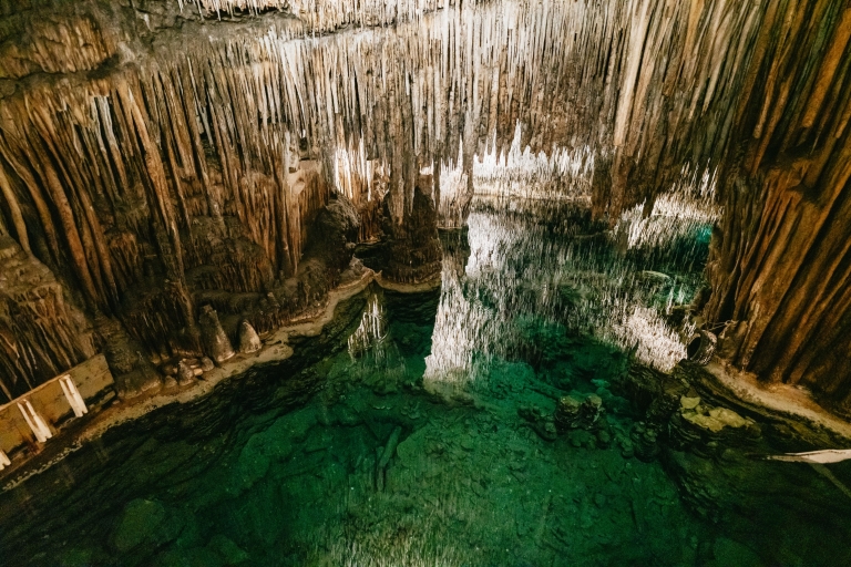 Mallorca: Höhlen von Drach und optional Höhlen von HamsTagestour: Drachenhöhlen und Höhlen von Hams