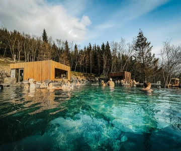 Port Akureyri: Godafoss Waterfall, Laufas & Forest Lagoon
