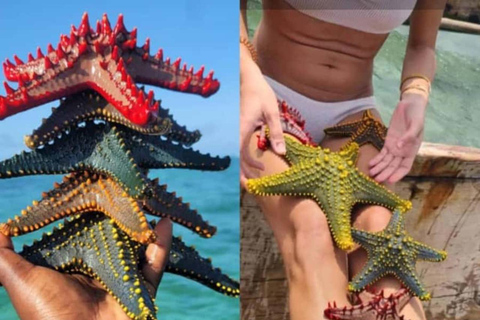 Zanzibar: Kiwengwa Reef Snorkeling, Sailing & Starfish Tour Zanzibar: Kiwengwa Reefs Snorkeling, Sailing & Starfish Tour