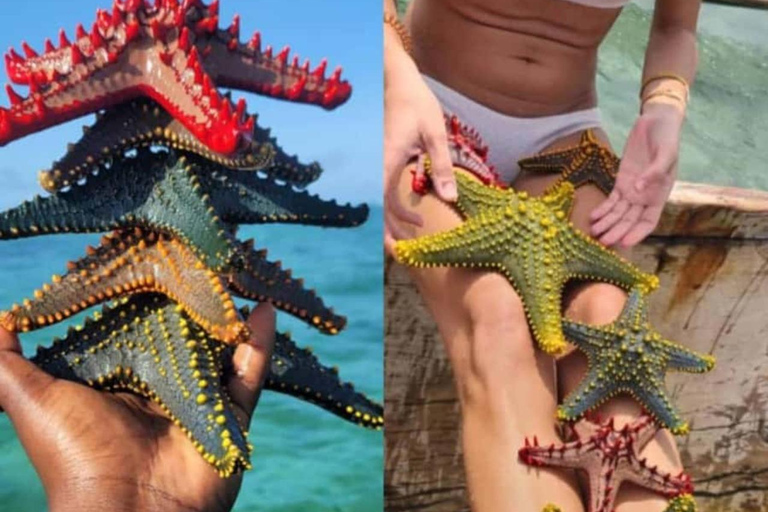 Zanzibar: Kiwengwa Reef Snorkeling, Sailing & Starfish Tour Zanzibar: Kiwengwa Reefs Snorkeling, Sailing & Starfish Tour