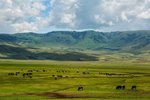 4 dias de Safari Privado na Tanzânia