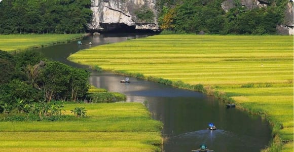 Hoi An: Tra Que Vegetable Village Farming Tour