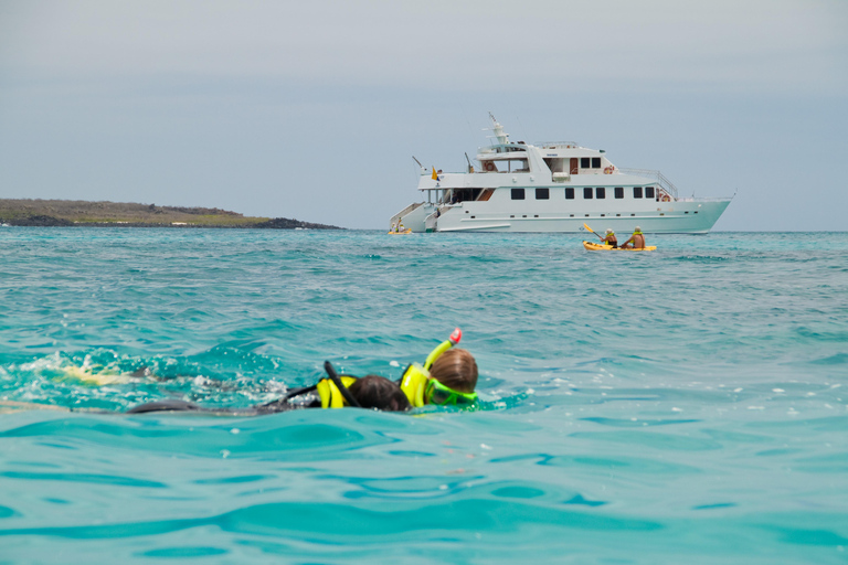 Explore Galapagos Standard Twin Cabin - Double Accommodation (Dec 11 - Dec 16)