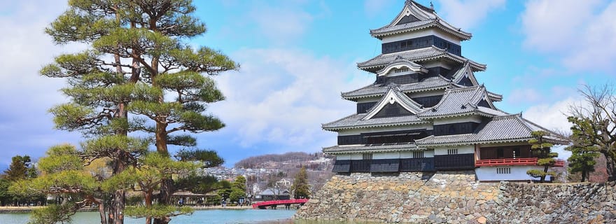 Depuis Nagano et Tokyo : visite d'une journée personnalisée des singes des neiges