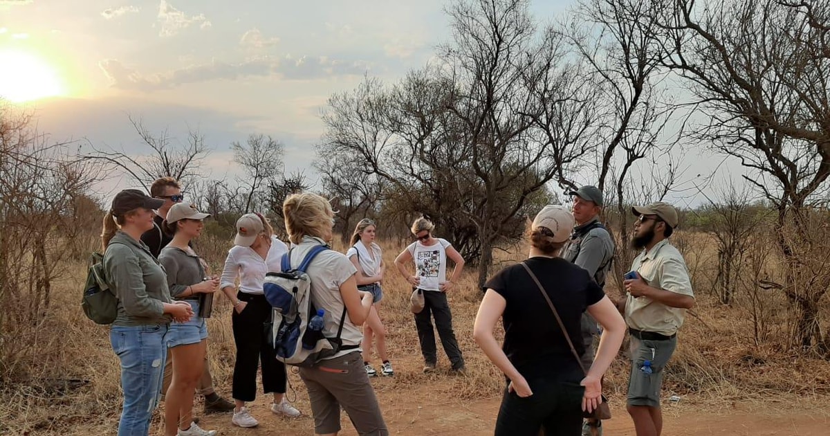 Dinokeng Game Reserve Halbtagssafari | GetYourGuide