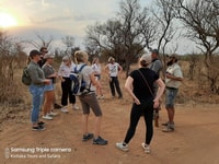 Dinokeng Game Reserve Halfday Safari - Housity