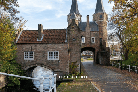 Excursão a pé diária por Roterdã e Delft