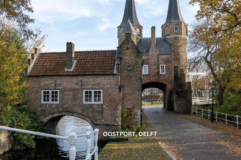 Rotterdam & Delft Daily Walking Tour