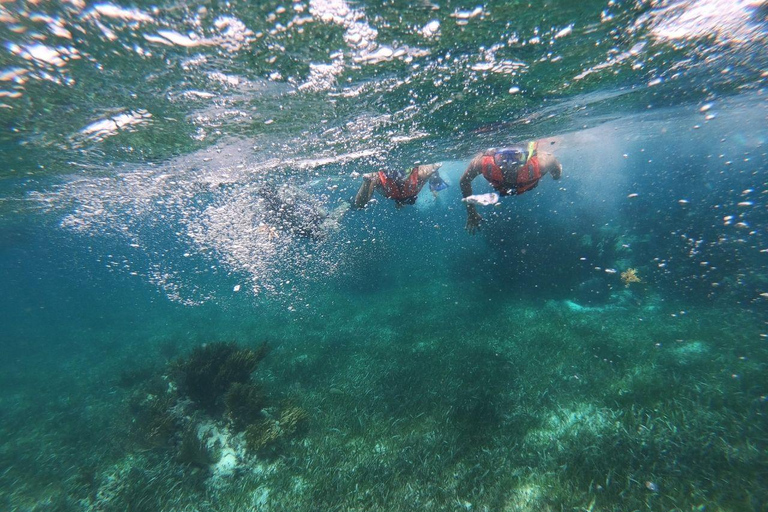Puerto Morelos: Snorkel in Coral Reef with transportation Tour from Tulum