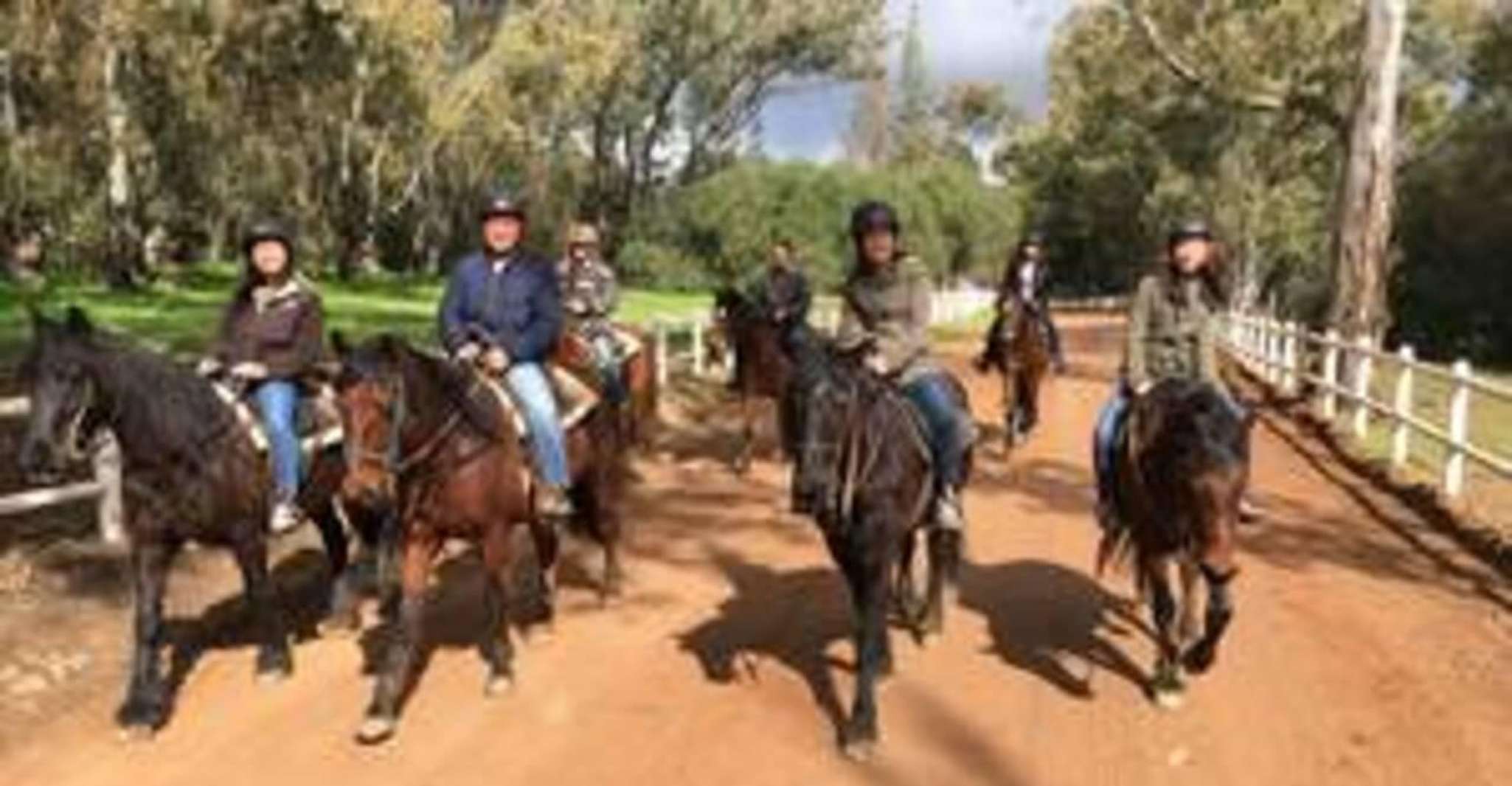 Vrede en Lust Wine Estate, 1h30m Horse Trail Ride - Housity