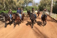 Vrede en Lust Wine Estate, 1h30m Horse Trail Ride - Housity