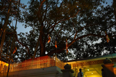 Anuradhapura &amp; Aukana: Private Tagestour von Sigiriya aus