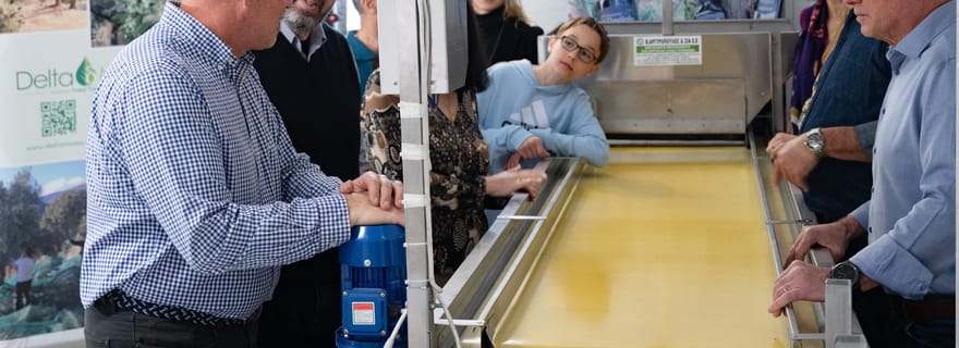 Découvrez les merveilles d'Athènes lors d'une visite privative