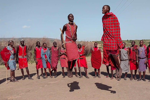 坦桑尼亚：从海岸到湖泊的 10 天社区野生动物之旅坦桑尼亚：从海岸到湖泊的 10 天社区之旅