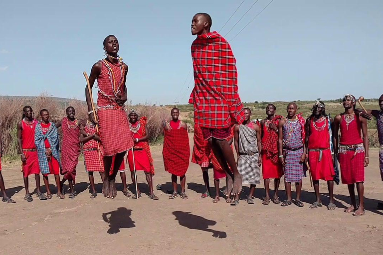 坦桑尼亚：从海岸到湖泊的 10 天社区野生动物之旅坦桑尼亚：从海岸到湖泊的 10 天社区之旅