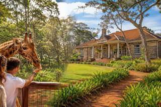 Museums in Nairobi: Tickets and Tours