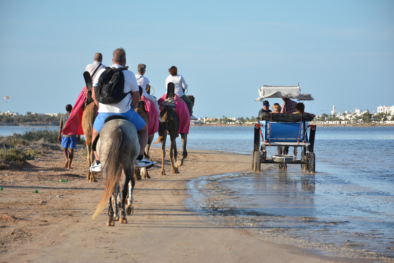 Djerba One Day Package : horse, Camel and quad