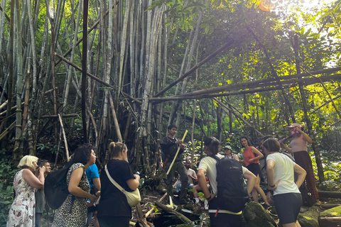 Chiang Rai: Jungle Adventure-Group Trekking & Bamboo Cooking