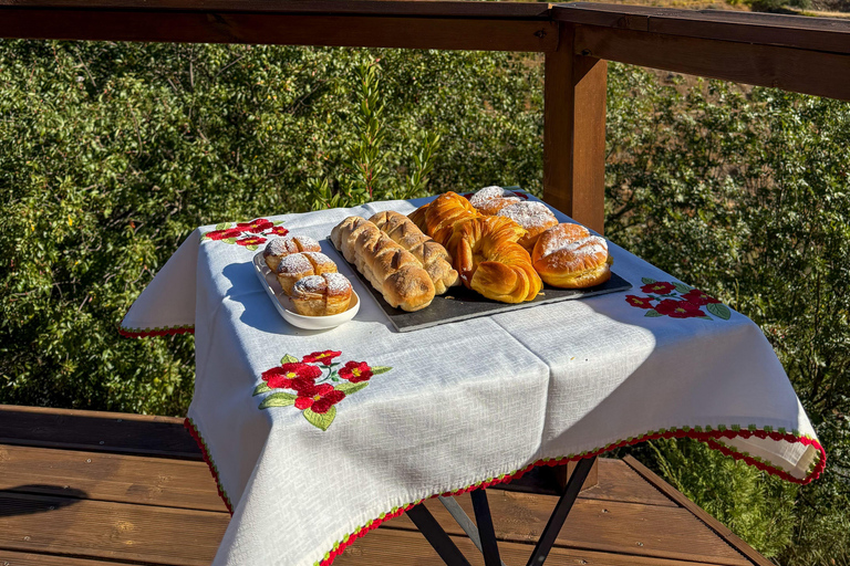 Douro Valley: Wine & Olive Oil Tour with Boat & Lunch Douro Valley: 2 Wineries, Boat Cruise & Traditional Lunch