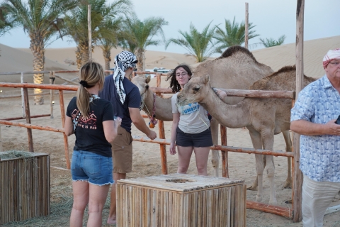 Dubái: recorrido en bicicleta por las dunas rojas con paseo en camello y barbacoaTour con Bicicleta Compartida