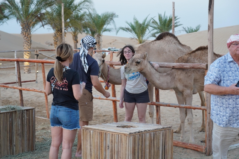 Dubai: Red Dune Bike Tour with Camel Ride and Barbecue Tour with Single Bike
