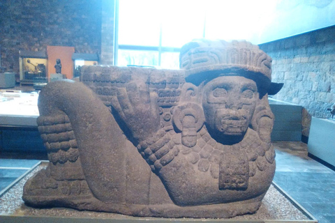 ANTHROPOLOGY MUSEUM : Guided Tour