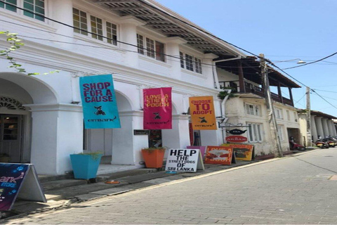 Excursão de um dia a Galle com tudo incluídoExcursão de um dia com tudo incluído a Galle a partir de Colombo e Negombo