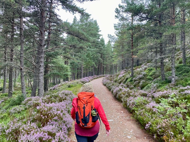 From Inverness: Scottish Highlands Walking Tour with Guide