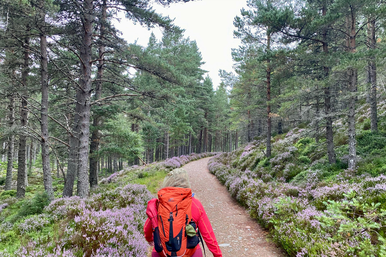 From Inverness: Scottish Highlands Walking Tour with Guide