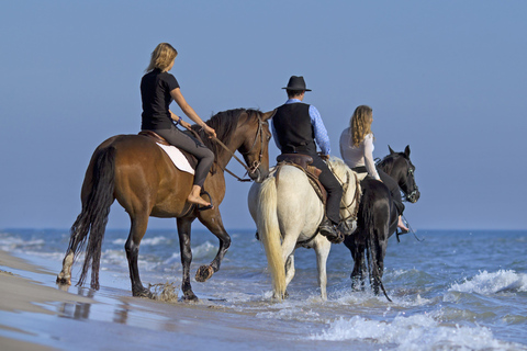 Mykonos: Coastal Morning Horseback Ride to the Beach Mykonos: Coastal Morning Horseback Ride to Fokos Beach