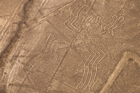 Von Ica aus: Überflug in den Nazca-Linien